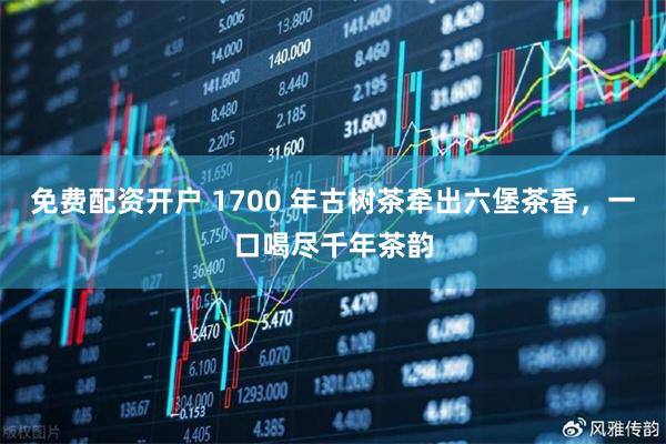 免费配资开户 1700 年古树茶牵出六堡茶香，一口喝尽千年茶韵