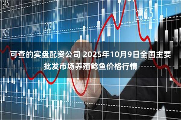 可查的实盘配资公司 2025年10月9日全国主要批发市场养殖鲶鱼价格行情