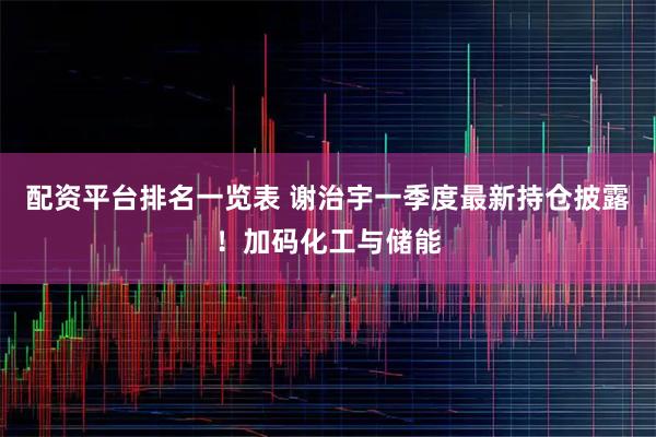 配资平台排名一览表 谢治宇一季度最新持仓披露！加码化工与储能